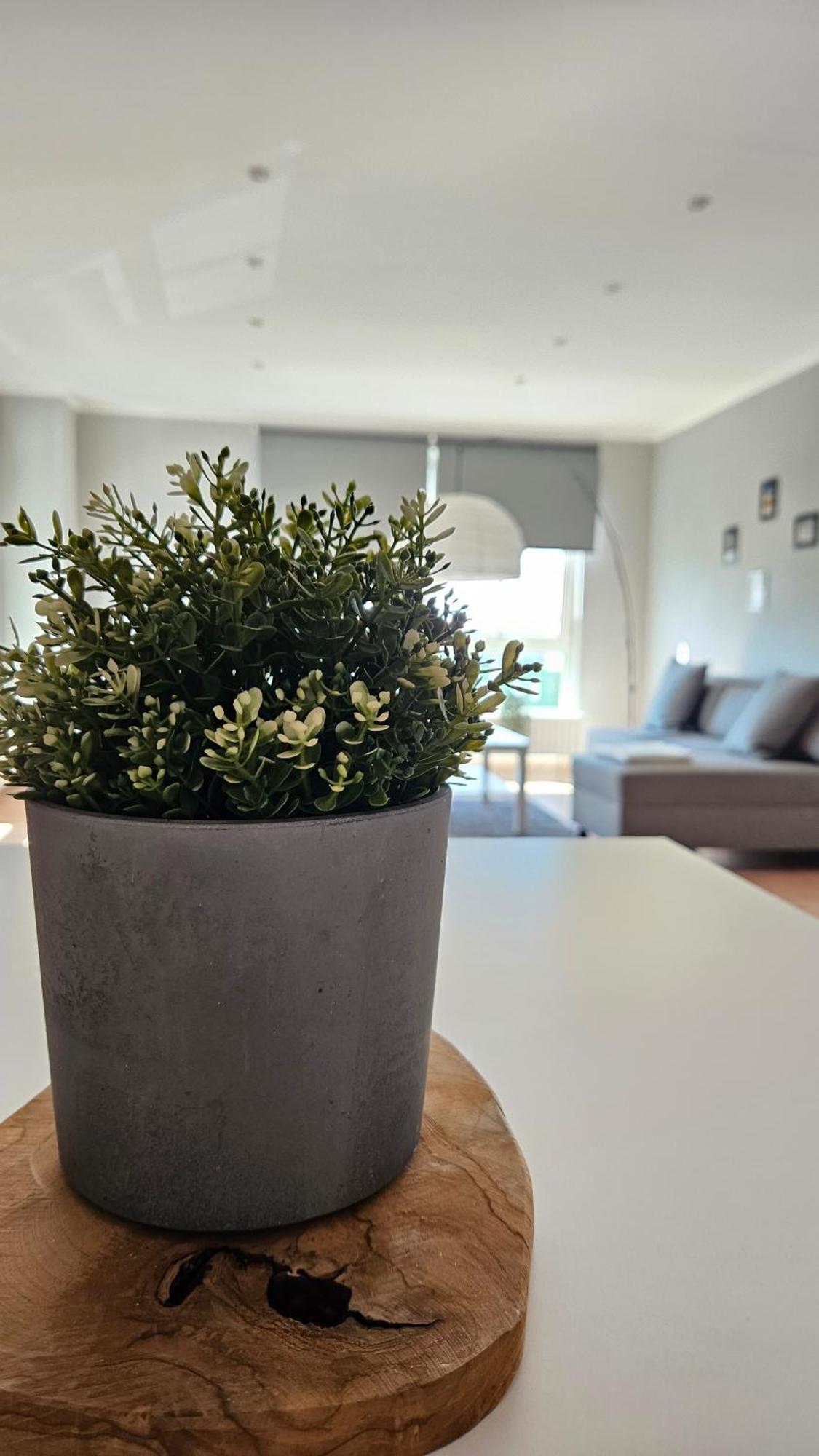 Apartment L19 One Bamberg - Geraeumig In Ruhiger Lage Mit Parkplatz Exterior photo